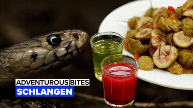 Adventurous bites: Schlangen