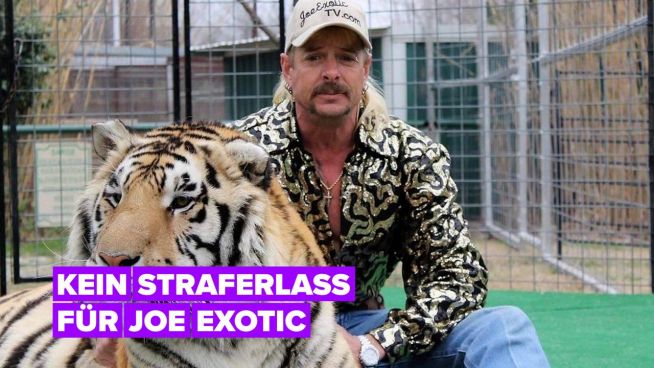 Joe Exotic sagt er sei 'zu schwul' um von Trump begnadigt zu werden